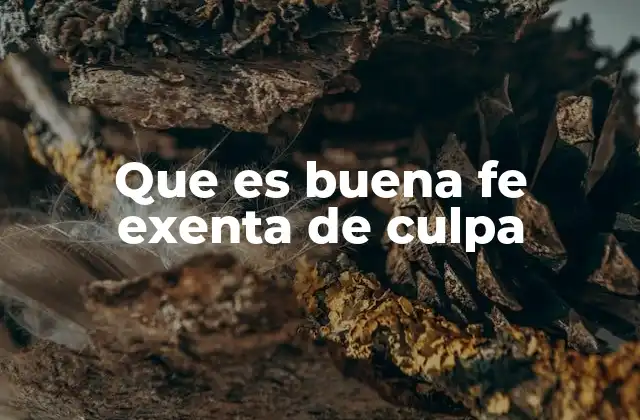 Que es Buena Fe Exenta de Culpa 2 La importancia de actuar con honestidad en las relaciones legales