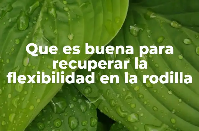 Que es Buena para Recuperar la Flexibilidad en la Rodilla