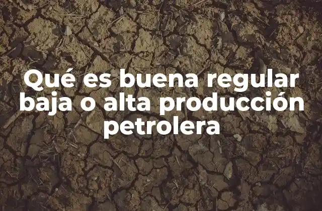 Factores que influyen en la clasificación de la producción petrolera