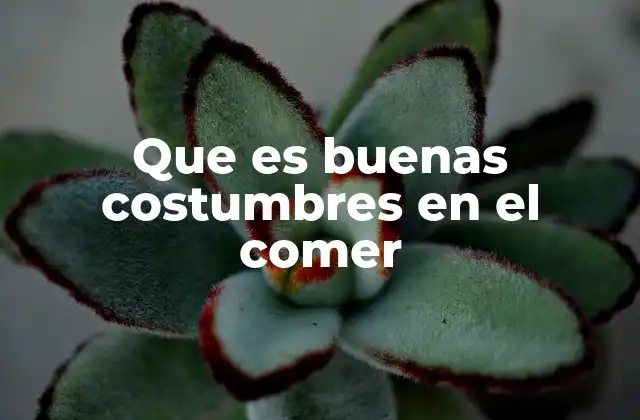 Que es Buenas Costumbres en el Comer