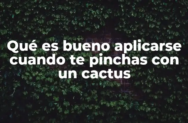 Qué es Bueno Aplicarse Cuando Te Pinchas con un Cactus