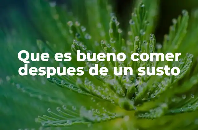 Que es Bueno Comer Despues de un Susto 2 Cómo el cuerpo reacciona ante el susto y qué necesita para recuperarse