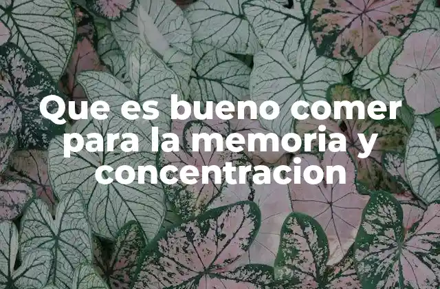 Que es Bueno Comer para la Memoria y Concentracion