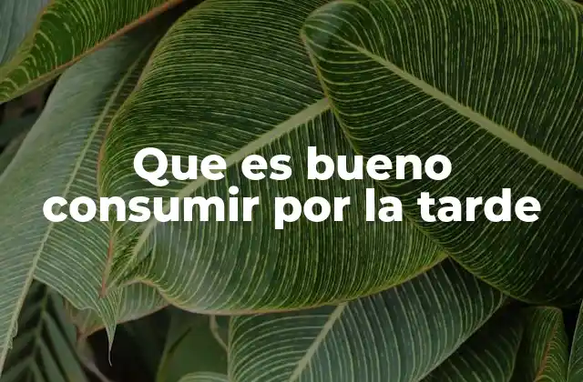 Que es Bueno Consumir por la Tarde