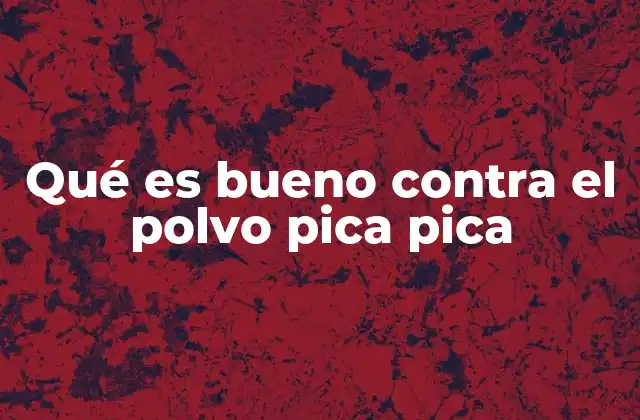 Qué es Bueno contra el Polvo Pica Pica