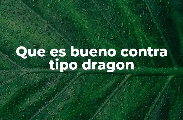 Que es Bueno contra Tipo Dragon