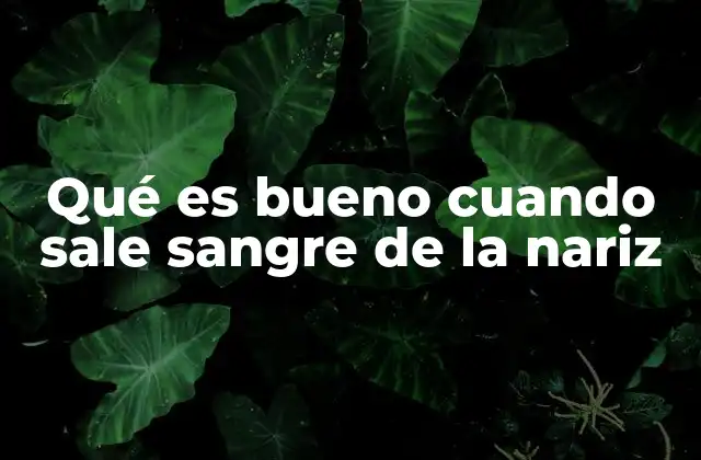 Qué es Bueno Cuando Sale Sangre de la Nariz