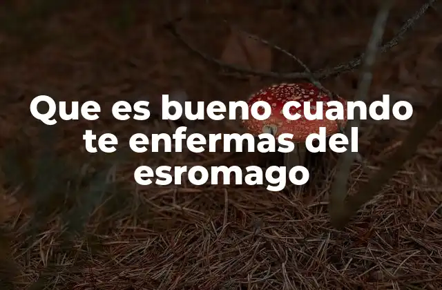 Que es Bueno Cuando Te Enfermas Del Esromago