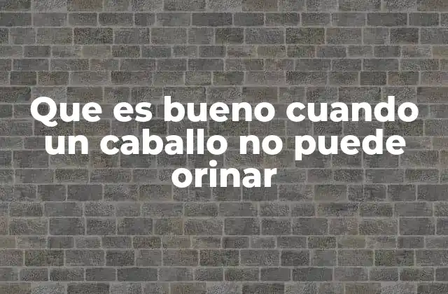 Que es Bueno Cuando un Caballo No Puede Orinar 2 Causas comunes de la retención urinaria en caballos