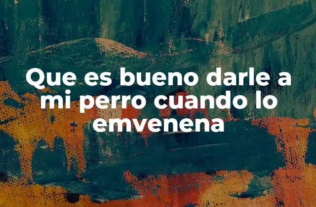 Que es Bueno Darle a Mi Perro Cuando Lo Emvenena