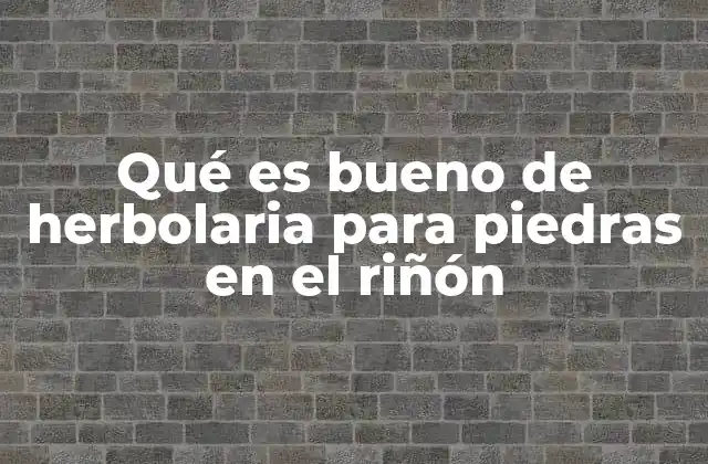 Qué es Bueno de Herbolaria para Piedras en el Riñón 2 Cómo la herbolaria apoya la salud renal