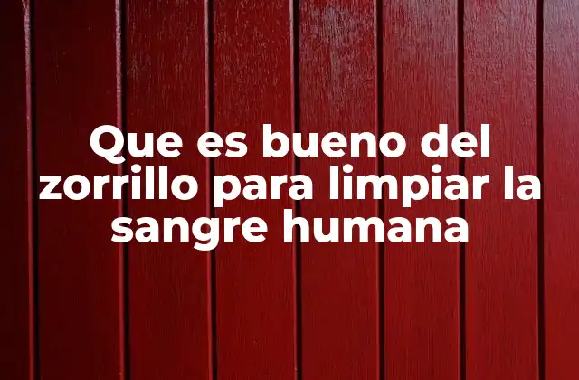 Que es Bueno Del Zorrillo para Limpiar la Sangre Humana