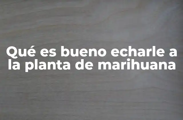 Qué es Bueno Echarle a la Planta de Marihuana 2 Cómo nutrir adecuadamente una planta de marihuana sin abusar de químicos