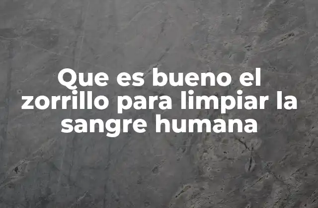 Que es Bueno el Zorrillo para Limpiar la Sangre Humana