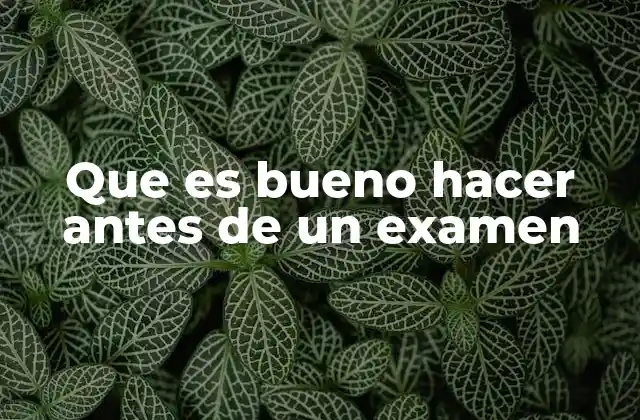 Que es Bueno Hacer Antes de un Examen