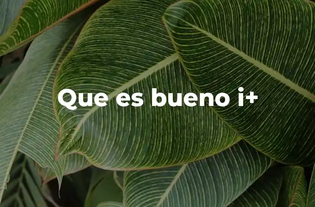 Que es Bueno I+ 2 La importancia de i+ en el desarrollo digital