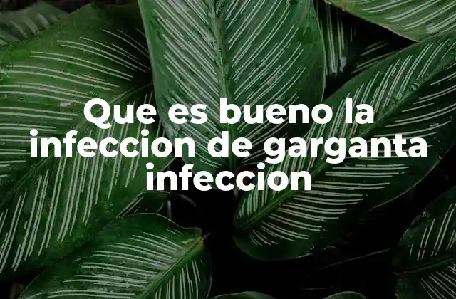 Que es Bueno la Infeccion de Garganta Infeccion
