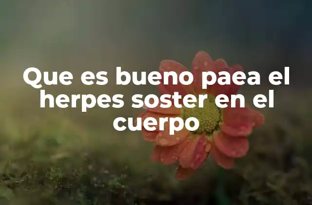 Que es Bueno Paea el Herpes Soster en el Cuerpo
