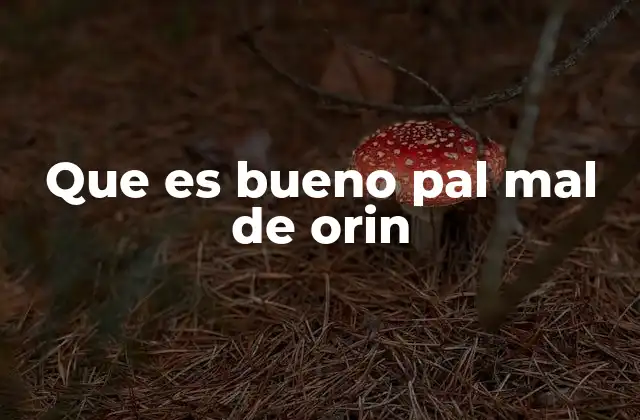 Que es Bueno Pal Mal de Orin