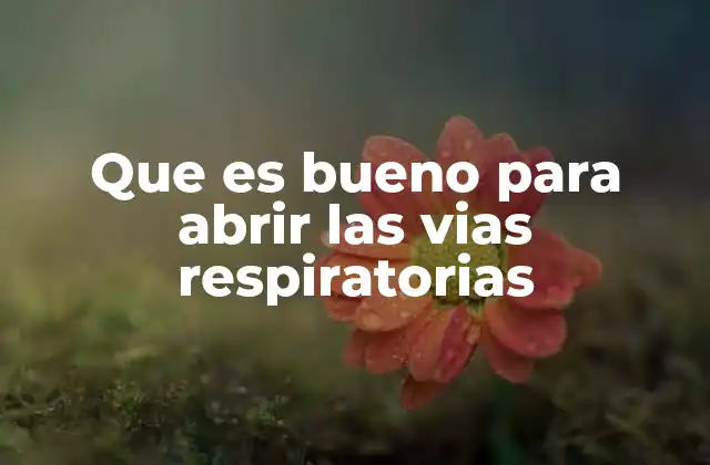Que es Bueno para Abrir las Vias Respiratorias