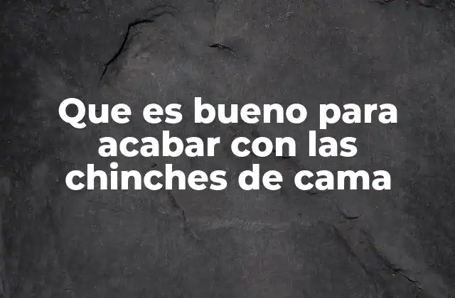 Que es Bueno para Acabar con las Chinches de Cama