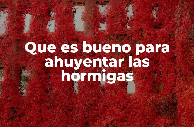 Que es Bueno para Ahuyentar las Hormigas 2 Cómo prevenir la entrada de hormigas sin usar productos químicos