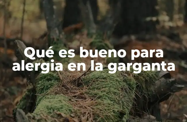 Qué es Bueno para Alergia en la Garganta 2 Cómo el ambiente influye en las alergias de garganta