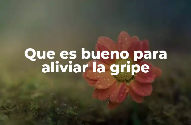 Que es Bueno para Aliviar la Gripe