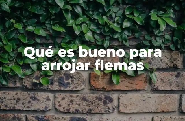 Qué es Bueno para Arrojar Flemas