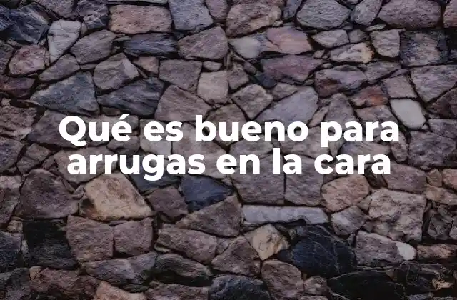 Qué es Bueno para Arrugas en la Cara