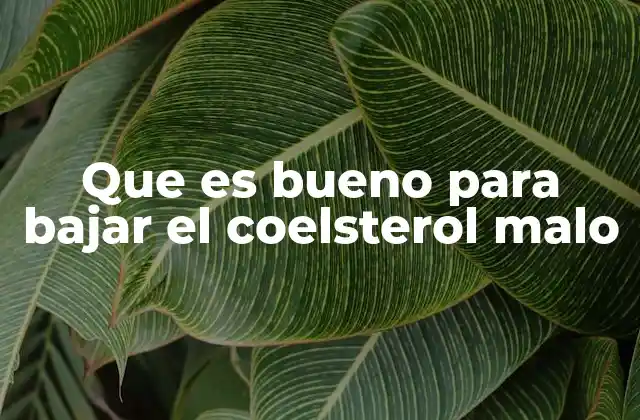 Que es Bueno para Bajar el Coelsterol Malo