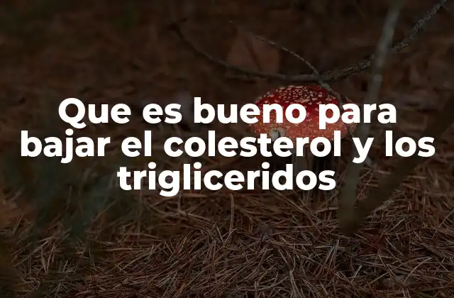 Que es Bueno para Bajar el Colesterol y los Trigliceridos