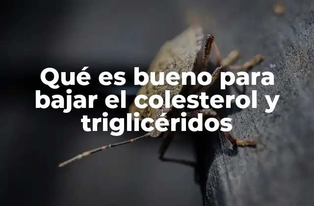 Estrategias naturales para mejorar la salud cardiovascular