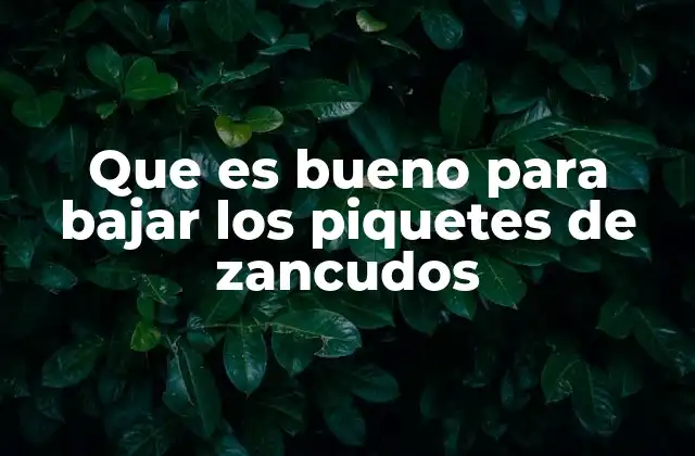 Que es Bueno para Bajar los Piquetes de Zancudos