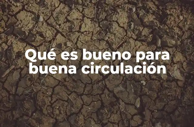 Qué es Bueno para Buena Circulación