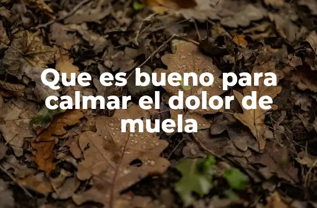 Que es Bueno para Calmar el Dolor de Muela