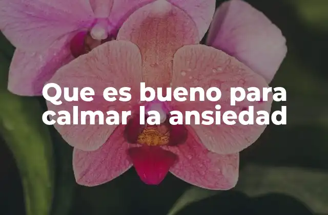 Cómo el estilo de vida influye en la ansiedad