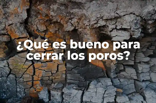 ¿qué es Bueno para Cerrar los Poros?