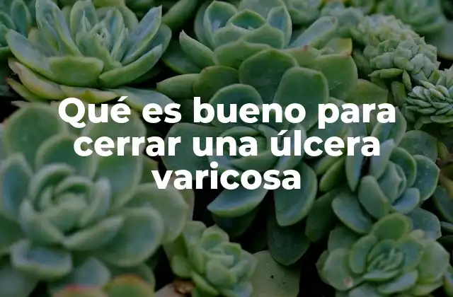 Qué es Bueno para Cerrar una Úlcera Varicosa
