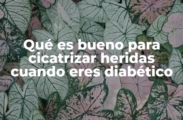 Qué es Bueno para Cicatrizar Heridas Cuando Eres Diabético