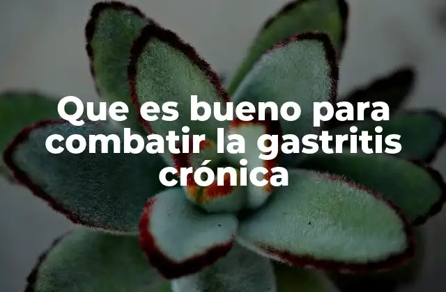 Que es Bueno para Combatir la Gastritis Crónica