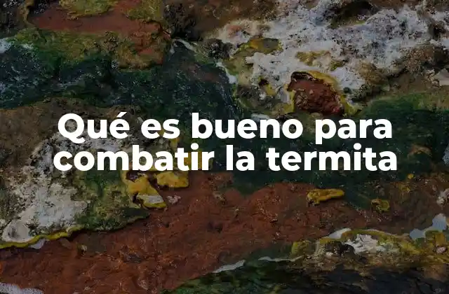 Qué es Bueno para Combatir la Termita