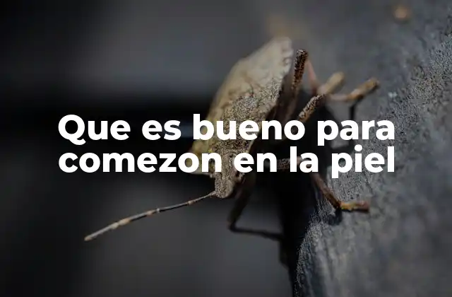 Que es Bueno para Comezon en la Piel