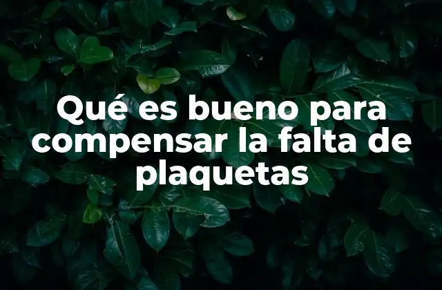 Qué es Bueno para Compensar la Falta de Plaquetas 2 Alimentos y remedios naturales para mejorar la salud sanguínea