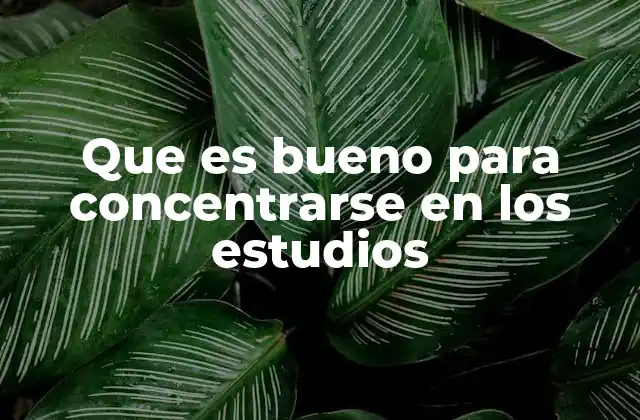 Que es Bueno para Concentrarse en los Estudios