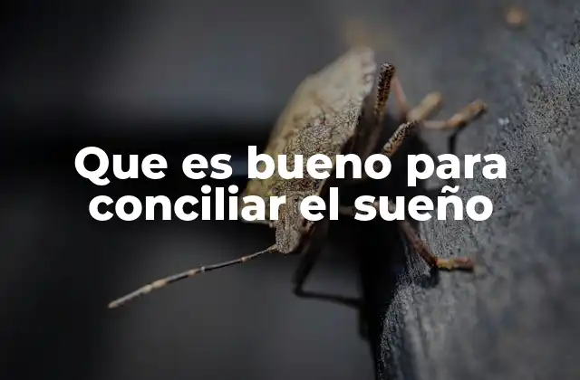 Que es Bueno para Conciliar el Sueño