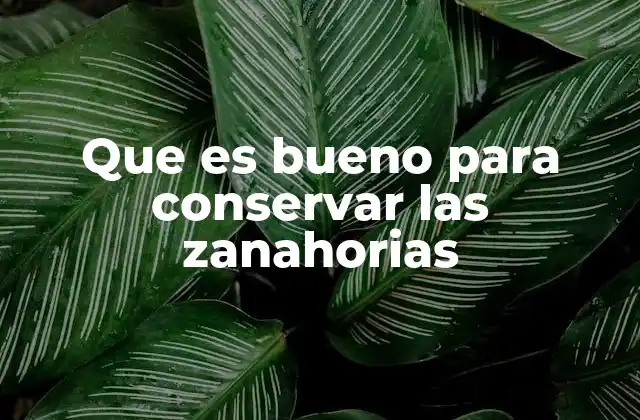 Cómo mantener la frescura de las zanahorias sin recurrir a químicos