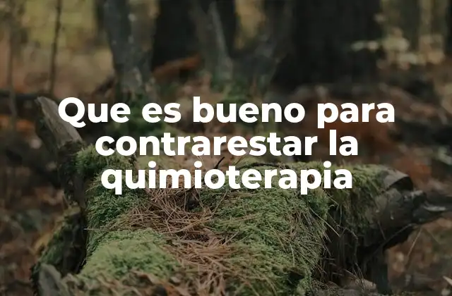 Que es Bueno para Contrarestar la Quimioterapia 2 Cómo el cuerpo responde al tratamiento quimioterápico