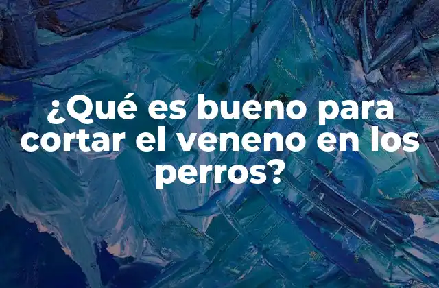 ¿qué es Bueno para Cortar el Veneno en los Perros?