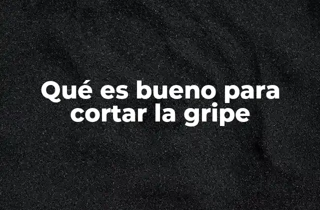 Qué es Bueno para Cortar la Gripe